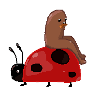 gondola sitting on a ladybird